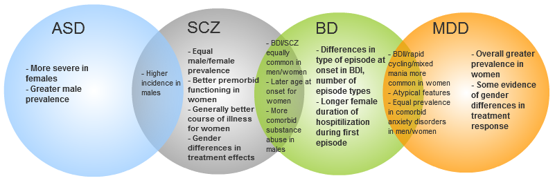 Research Feature Molecular Sex Differences In Psychiatry Department